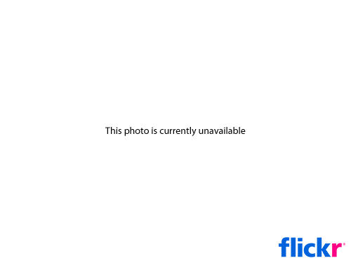 3236335044_602ecce6b2.jpg?v=0