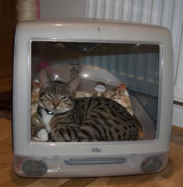 Snug like a cat in a Mac. @mikmac
