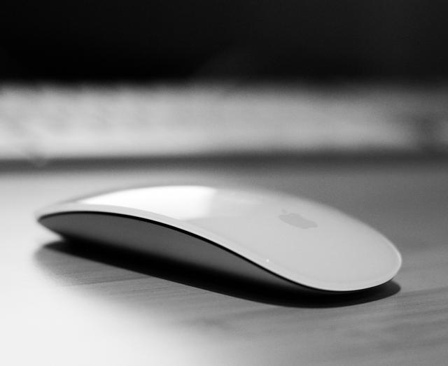 magicmousejaudrius