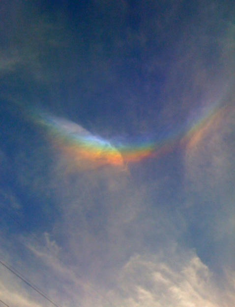 20100526-knox.jpg