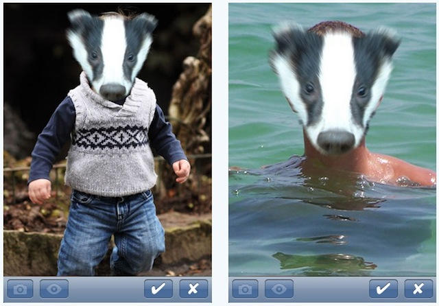 20101011-badgerface.jpg
