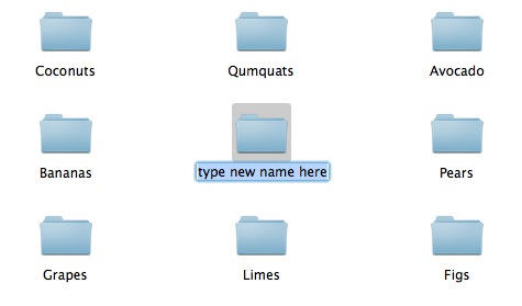 20101029-rename.jpg