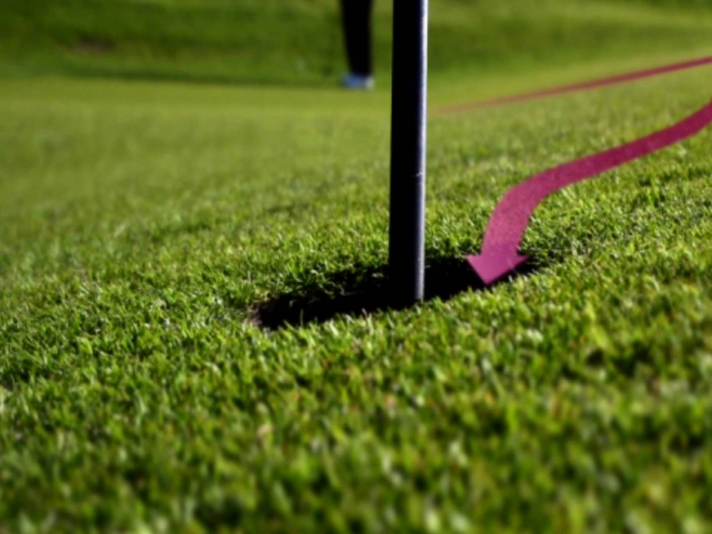 post-62452-image-e6c709c0b3ff1124d9bd1842afb5d306-jpg