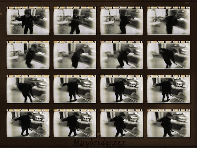 20101112-muybridge.JPG