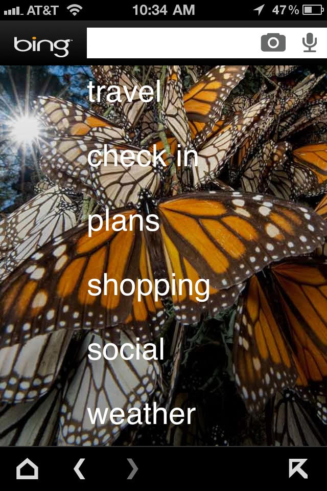 bing update  6