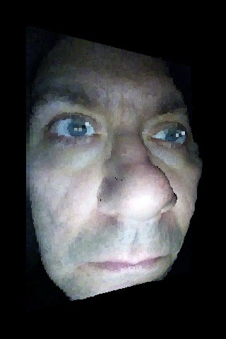 20110108-trimensional2.JPG