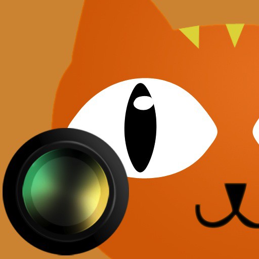 20110114-catcamera.jpg