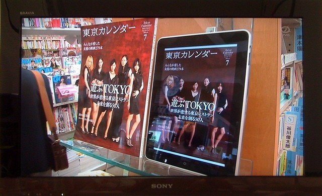 Japanese eBook