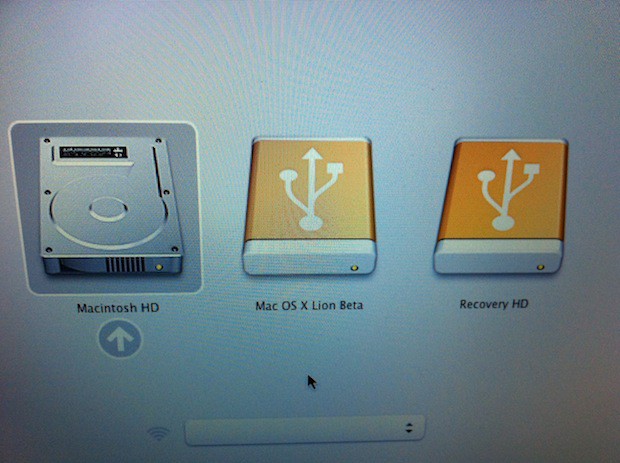 LionRecovery1