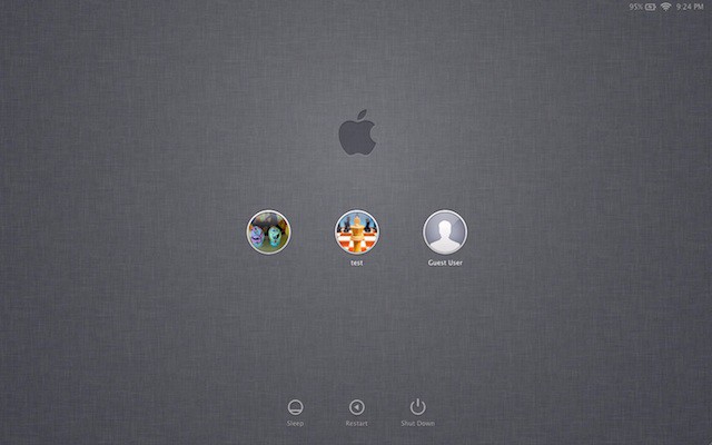 new_lion_login