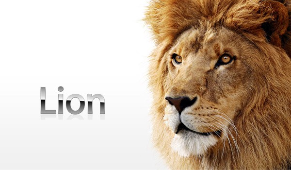 lion1110224140813