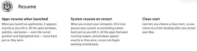 lionresume