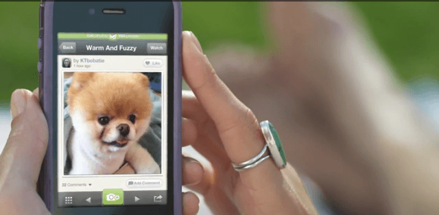 photovine-app-ios.png