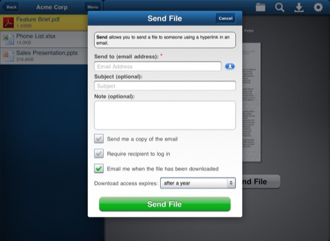 Sharefile's new iPad was delayed for violating Apple's rules on in-application purchases, even though the identical iPhone version sailed through.