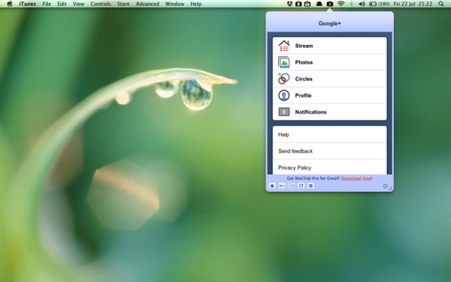 tab for google+
