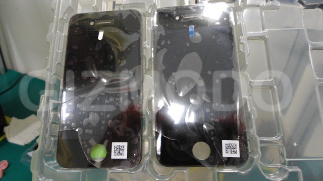 xlarge_braziliphonec_wtmk