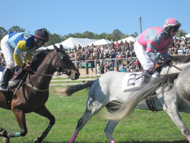 Photo by LuMag00 - http://flic.kr/p/8RneUy