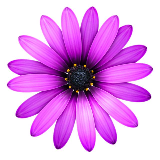 tm2-icon.jpg