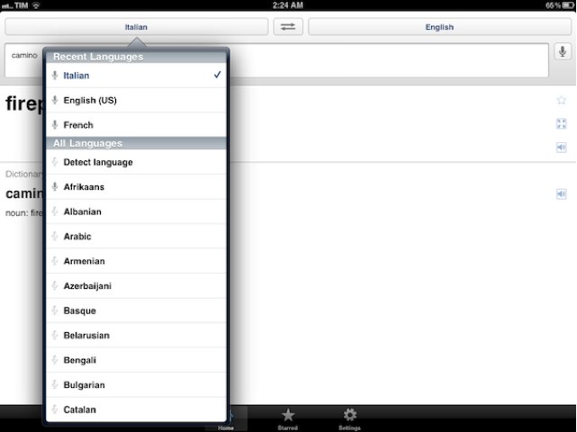 Google-translate-on-iPad