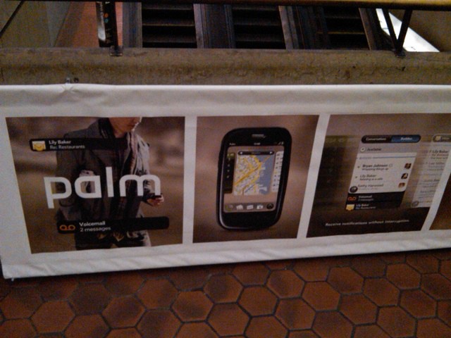 Palm