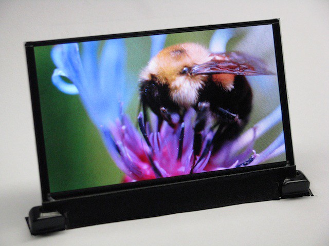 Bee_on_Flower