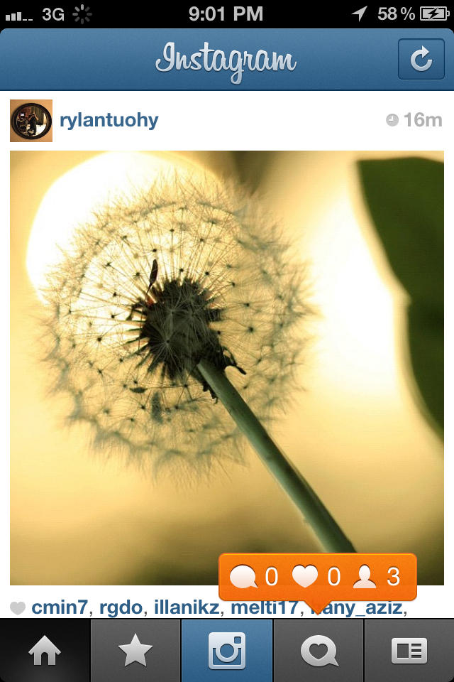 instagram-fix