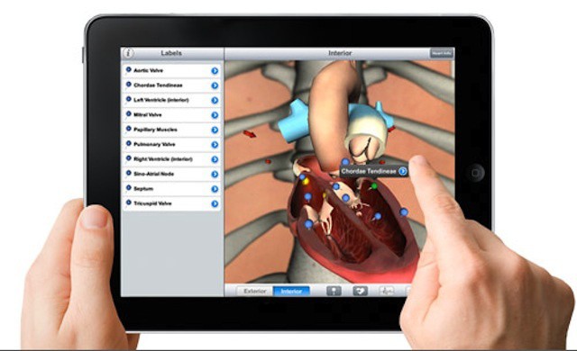 ipad-health-demo
