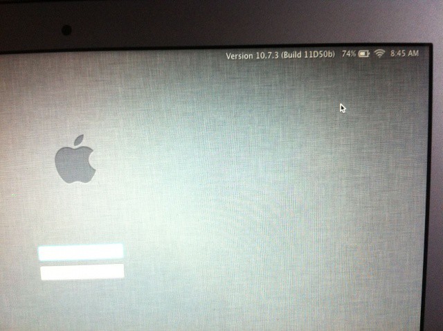 LoginScreen