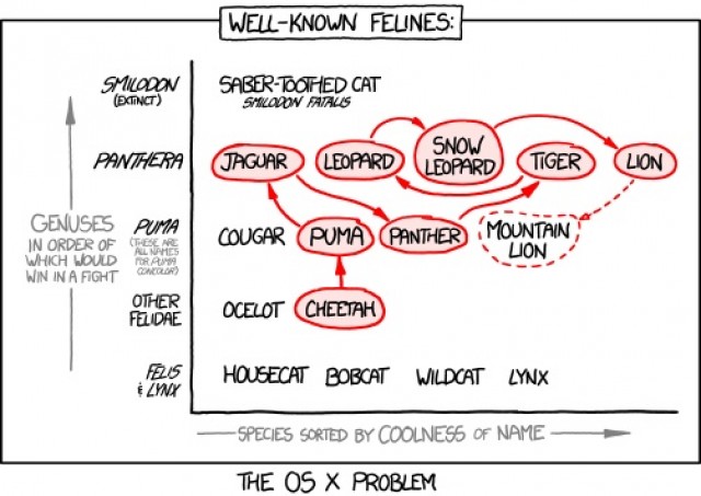 felidae