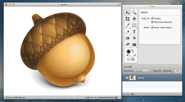 Acorn's acorn logo, in Acorn.
