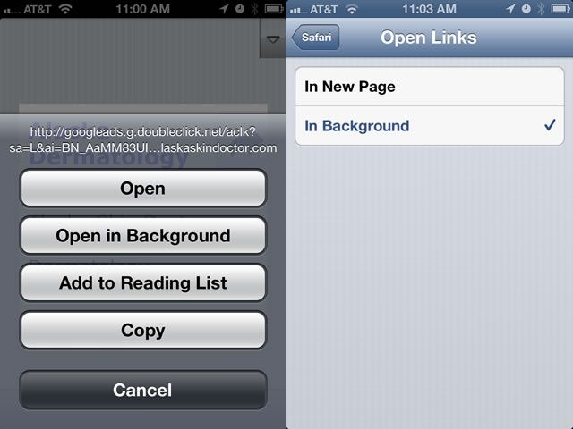 SafariBackground