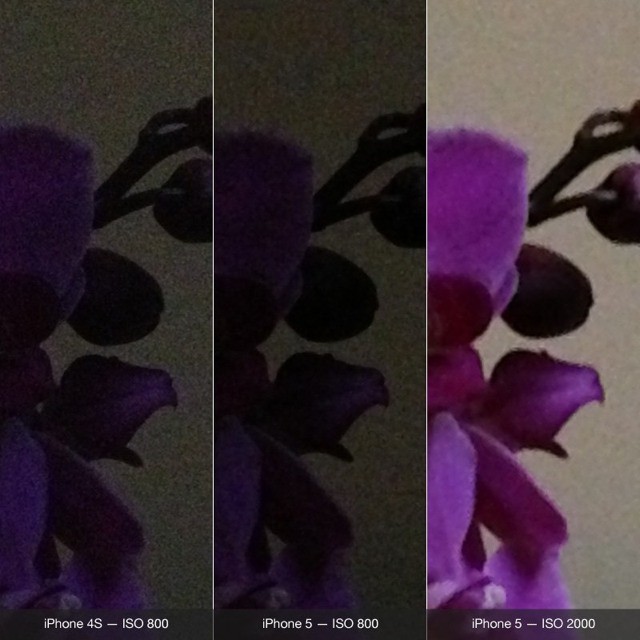 1349347444.jpg