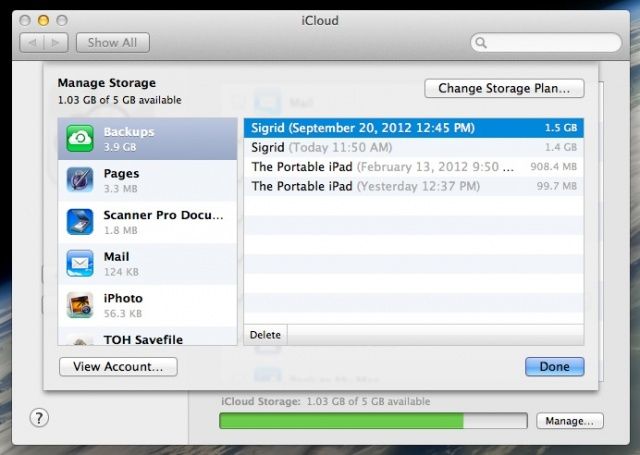 iCloud Storage Options