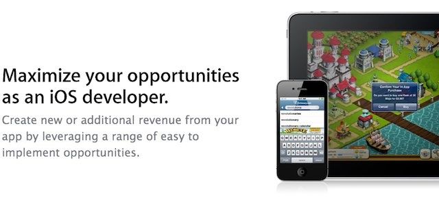 developer