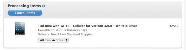 iPad Mini Delivery Screenshot