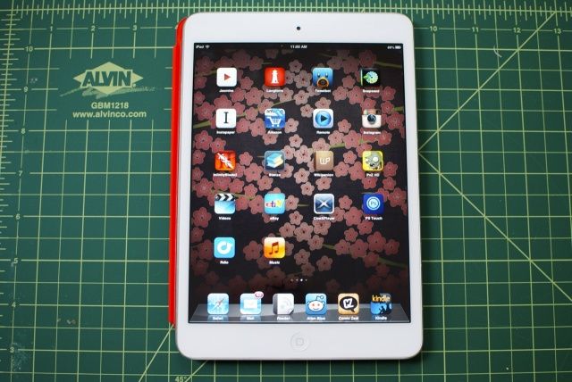 ipadmini