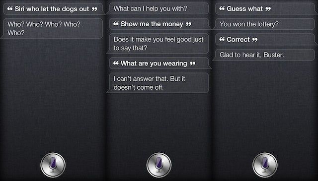 sirilethedogsout
