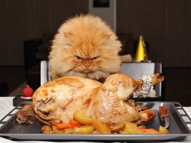 thanksgiving_640_11 (1)