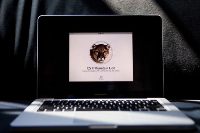 0823_mtnlion_660-660x440