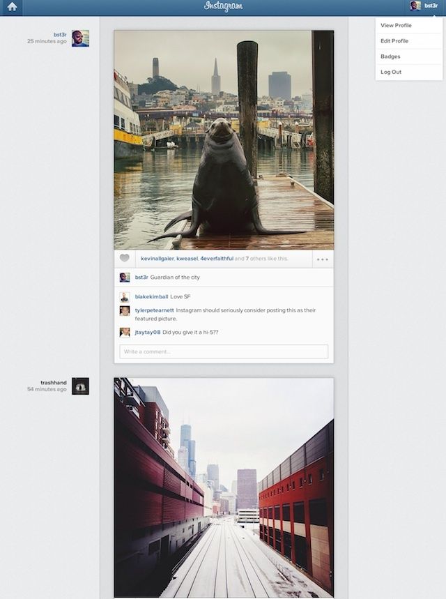 instagramwebsitescreenshot