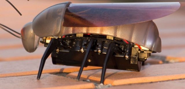 CoM - iBug