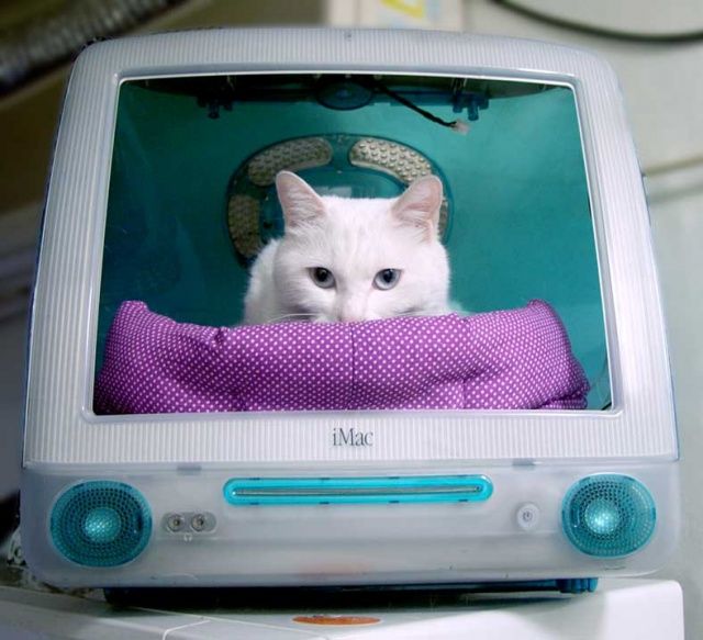 imac8if
