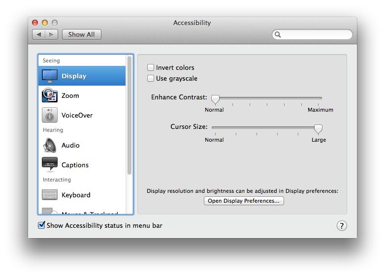 Zoom The Mouse Pointer