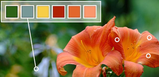 CoM - colorschemmain