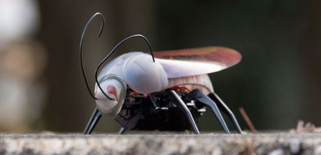 CoM - iOSBug