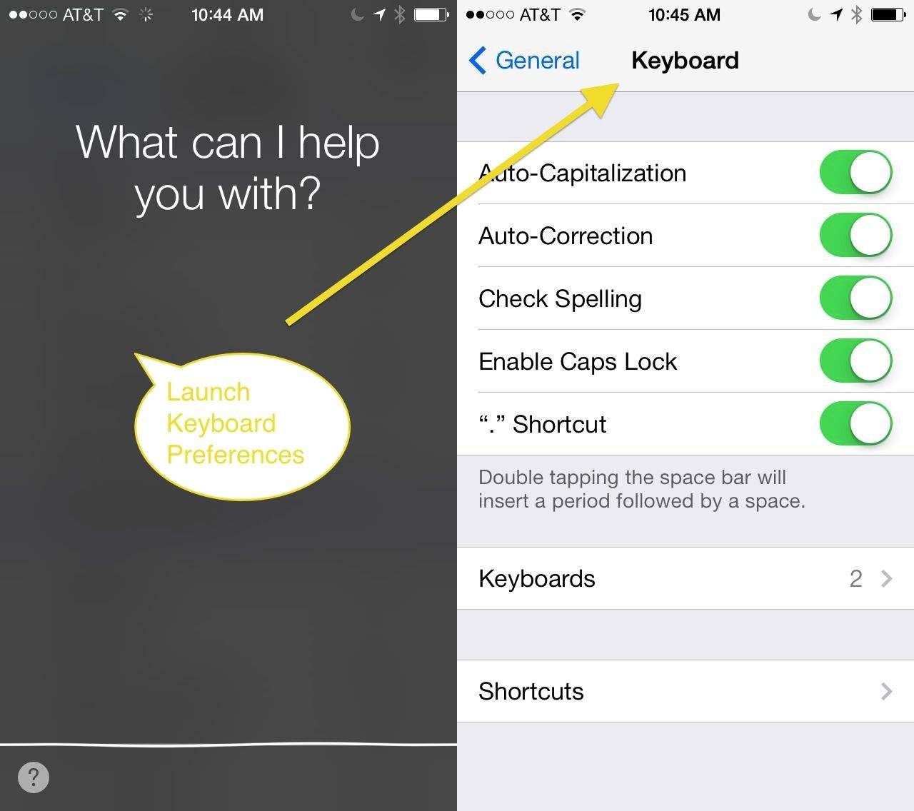 Siri Settings App
