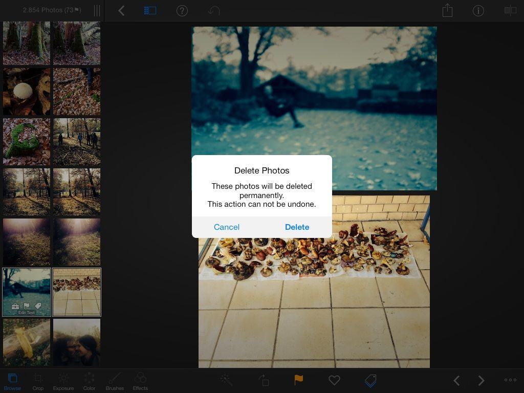 This will actually delete the photo from your iPad. Careful now!