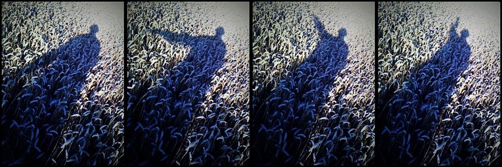 ©Michael Highmead                          