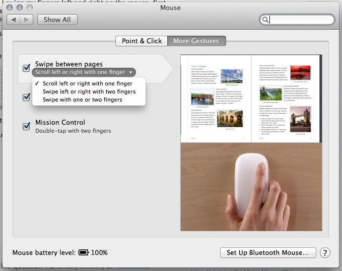 Magic Mouse