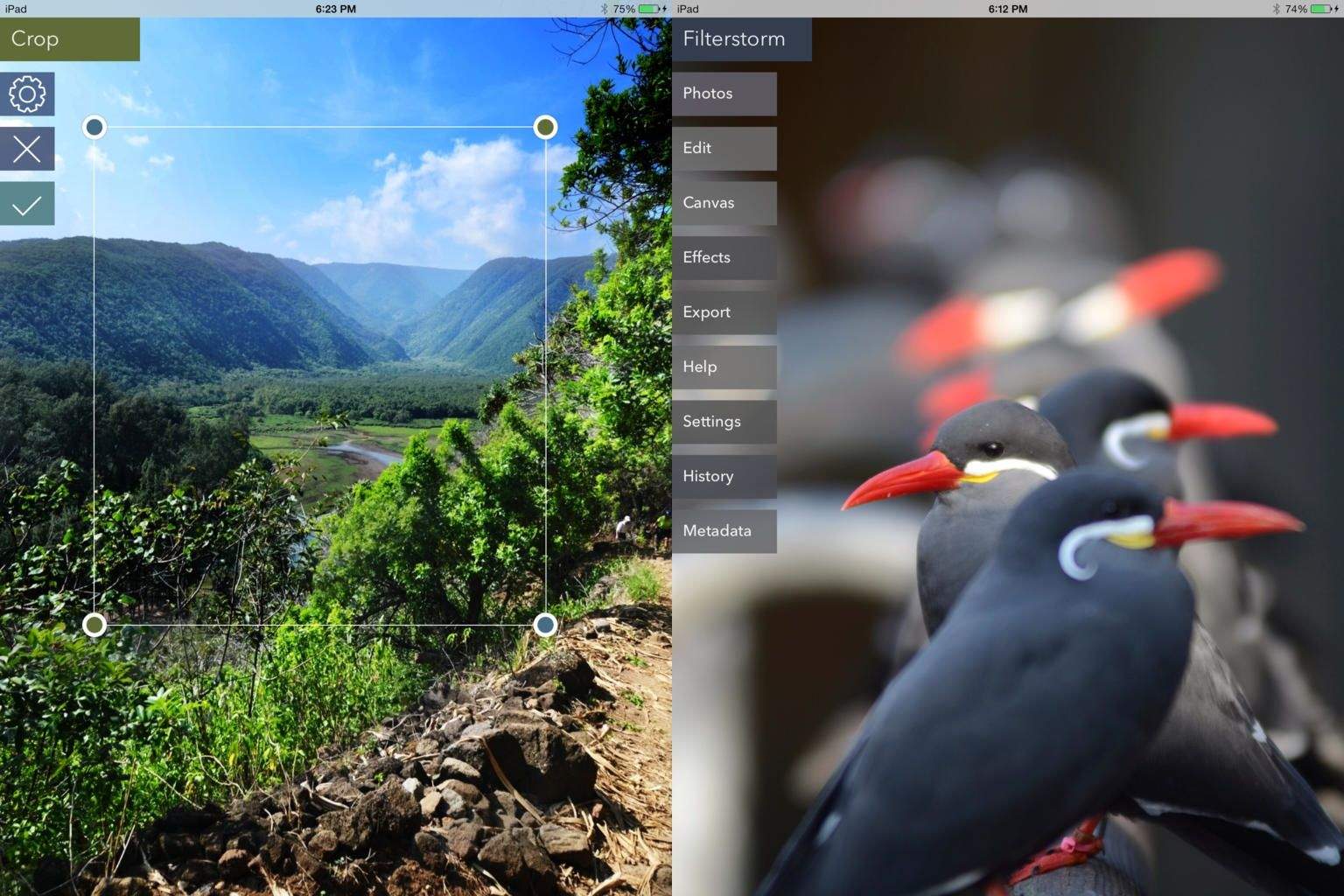 filterstorm neue